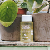 Sisley Tropical Resins Purifying Rebalancing Lotion 125ml