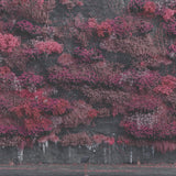 Even In Arcadia (2LP) [Vinyl]