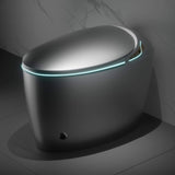 Nuvia Smart One-Piece Toilet With Bidet, Foot Sensor, LED Display And Dryer (SAK80112)
