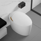 Nuvia Smart One-Piece Toilet With Bidet, Foot Sensor, LED Display And Dryer (SAK80112)