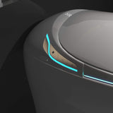 Nuvia Smart One-Piece Toilet With Bidet, Foot Sensor, LED Display And Dryer (SAK80112)