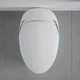 Nuvia Smart One-Piece Toilet With Bidet, Foot Sensor, LED Display And Dryer (SAK80112)