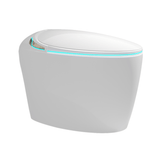 Nuvia Smart One-Piece Toilet With Bidet, Foot Sensor, LED Display And Dryer (SAK80112)