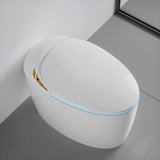 Nuvia Smart One-Piece Toilet With Bidet, Foot Sensor, LED Display And Dryer (SAK80112)