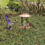 Solar Decorative Hanging Bird Feeder Lantern