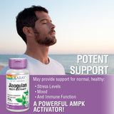 SOLARAY Jiaogulan, 410 mg, 60 VegCaps