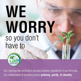 SOLARAY Jiaogulan, 410 mg, 60 VegCaps