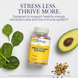 SOLARAY Mega Vitamin B-Stress, 120 VegCaps  04241
