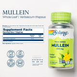 SOLARAY Mullein Leaf 330mg | Herbal Support for Healthy Respiratory, Bronchial & Immune Function | Vegan | 100 CT
