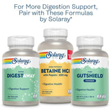 SOLARAY Pancreatin 1300 | Pancreatic Digestive Enzymes Plus Papaya for Healthy Digestion Support | 90 VegCaps, 90 Serv.