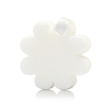 Coconut Verbena | Boxed Flower