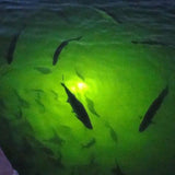 Sunbeam LED Fishing Light