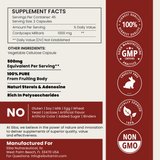 SIBA Cordyceps Mushroom Capsules – 1000mg Fruiting Body Extract