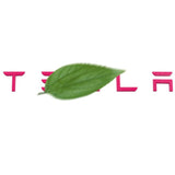 Tailgate Lettered Rear Logo Replacement For Tesla Model 3/Y