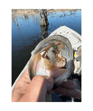 Techno Frog - Soft Plastic Frog Bait for Bass Fishing