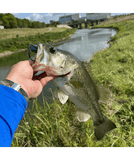 Techno Frog - Soft Plastic Frog Bait for Bass Fishing