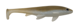 Weedless Executioner
