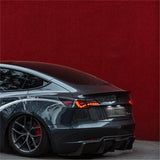 TESERY Dragon Scale Tail Lights for Model 3/Y