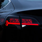 TESERY OLED APP-Controlled Tail Light for Model 3/Y