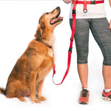 The Buddy System Adjustable Hands Free Dog Leash