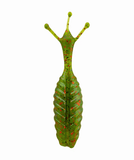 The Thing - Soft Plastic Creature Bait for Bass Fishing