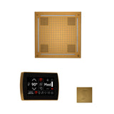 ThermaSol SignaTouch 5-Inch Display Steam Control Package With HydroVive Rainhead (SAK12821)