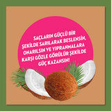 Elidor Coconut Oil Hair Conditioner: Natural, Paraben Free Repair Cream for Damaged Hair - Moisturizing, Cruelty-Free, Coconut Oil Treatment