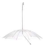 Transparent Outdoor Dog or Puppy Umbrella with Chain Leash
