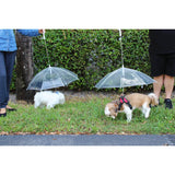 Transparent Outdoor Dog or Puppy Umbrella with Chain Leash