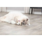 Trixie Fabric Bear Cat Toy with Catnip 12 cm