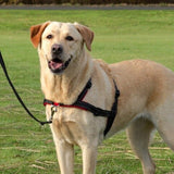 Trixie Dog Training Harness for Controlled Walking M-L 25mm