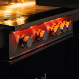 TrueFlame Luxury Built-In Gas Stainless Steel Grills [TF25/32/40] (SAK30587)