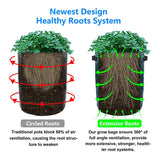 PE Potato Grow Bags