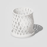 Capricious Orchid Planter Pot