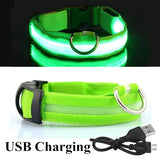Safety And Visibility For Night Walks