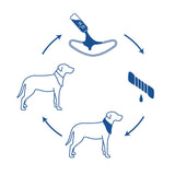 Dog Cooling Bandana