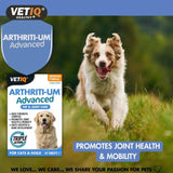 Vet IQ Arthriti-UM Advanced Joint Support for Cats & Dogs 45 Tablets