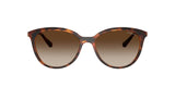 Vogue Women's Sunglasses Tortoise Frame Brown Lenses 53mm