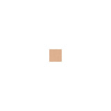 Smashbox Photo Filter Creamy Powder Foundation 2 9.9g