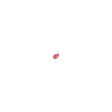Estee Lauder Pure Color Gloss Orchid Passion High Shine 5.8ml