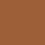 Sheglam Buttery Buff C&B Stick Blush in 10 Warm Honey