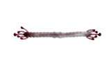 Wacky Alien - Soft Plastic Wacky Rig Worm for Bass Fishing