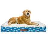 Wags & Whiskers Memory Foam Pet Bed - Assorted Styles