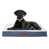 Wags & Whiskers Memory Foam Pet Bed - Assorted Styles