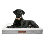 Wags & Whiskers Memory Foam Pet Bed - Assorted Styles