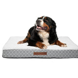 Wags & Whiskers Memory Foam Pet Bed - Assorted Styles