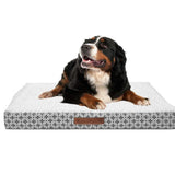 Wags & Whiskers Memory Foam Pet Bed - Assorted Styles