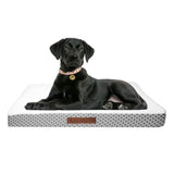 Wags & Whiskers Memory Foam Pet Bed - Assorted Styles