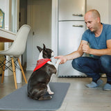 Washable Dog Pee Pad Reusable Puppy Potty Training Pads