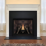 White Mountain Hearth (Empire) Tahoe 36-Inch Clean Face Direct Vent Natural Gas Traditional Premium Fireplace [DVCP36BP30N/70N] (SAK26519)